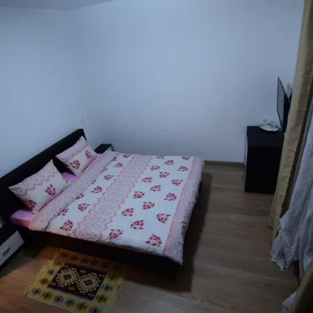 Băcia Agropensiune Casa Sonia חדר תמונה