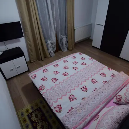 Băcia Agropensiune Casa Sonia חדר תמונה