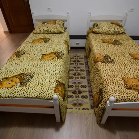 Băcia Agropensiune Casa Sonia חדר תמונה